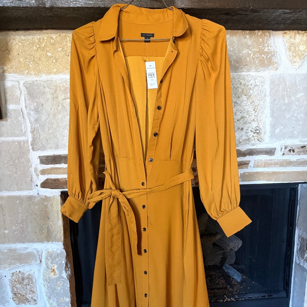 Ann Taylor Size 10